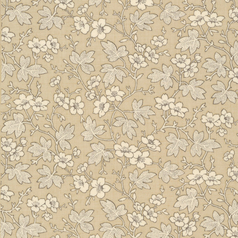 Mignon Oyster 13964-16
