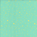 Tula Pink PWTP254 Space Sprinkles Seaglass
