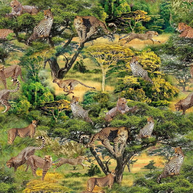 Serengeti Plains DCX11949-UMBE-D