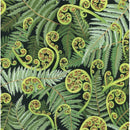 Backer Koru Frond 274cm