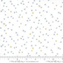 Dance In Paris Cloud 1745 11M