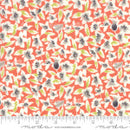 Fine and Sunny Persimmon 18171 13