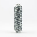 WonderFil Sue Spargo Razzle Variegated Thread - Hook & Line RZM12