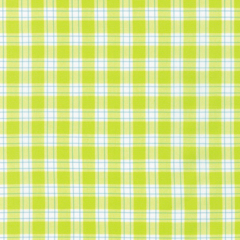 Kitchen Window Wovens Plaid Cactus