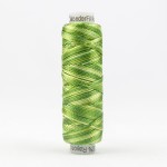 WonderFil Sue Spargo Razzle Variegated Thread - Leaves & Sprouts RZM07