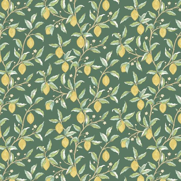 PWWM047.Dk Green Lemon Tree