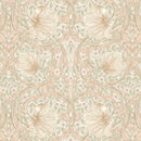 PWWM079.Blush Pimpernel