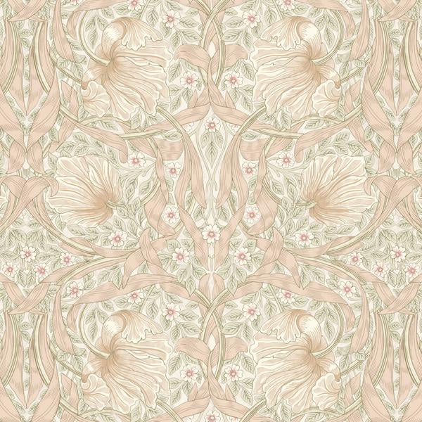 PWWM079.Blush Pimpernel