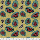 PWAM013.GOLDEN Monarch