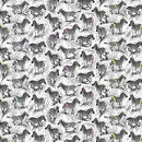 Read Between the Lines PWTP156-PAPER